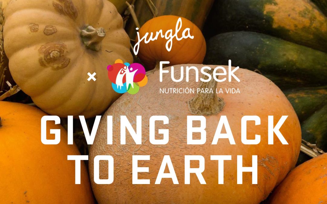 Jungla x Funsek